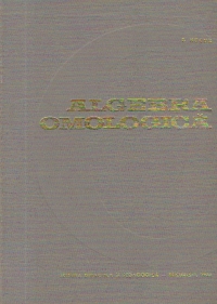 Algebra omologica (Bucur)