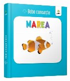 Bebe cunoaste: Marea