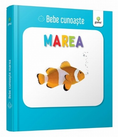 Bebe cunoaste: Marea