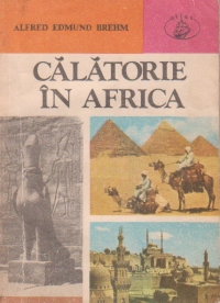 Calatorie in Africa