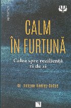 Calm în furtună : calea spre rezilienţă zi de zi