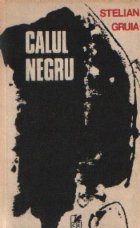 Calul Negru - Roman