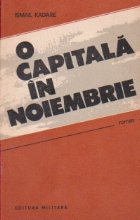 O capitala in noiembrie (roman)