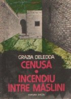 Cenusa Incendiu intre maslini