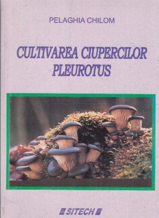 Cultivarea ciupercilor pleurotus