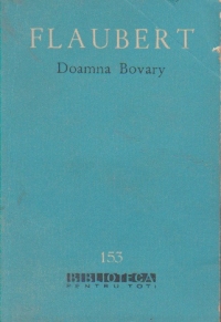 Doamna Bovary (Moravuri de provincie)