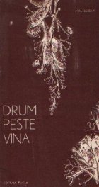 Drum peste vina