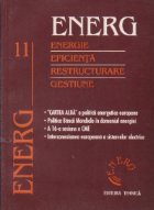 ENERG Energie Eficienta Restructurare Gestiune