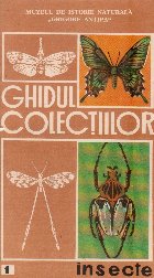 Ghidul colectiilor Insecte