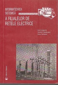 Informatizarea sistemica a filialelor de retele electrice