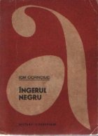 Ingerul negru