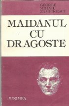 Maidanul cu dragoste (roman)