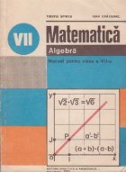 Matematica - Algebra, Manual pentru clasa a VII-a