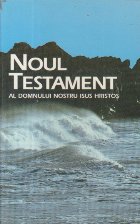 Noul Testament Domnului Nostru Isus