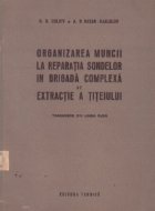 Organizarea muncii la reparatia sondelor in brigada complexa de extractie a titeiului (traducere din limba rus