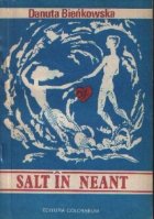 Salt neant