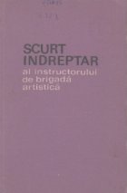 Scurt indreptar instructorului brigada artistica